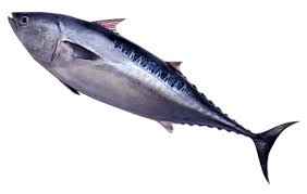 pescado